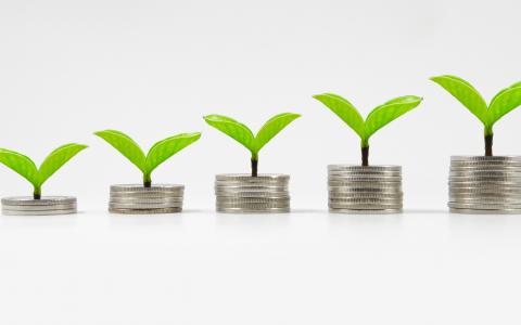 Go Green without Going Broke Go Green without Going Broke